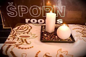 Sporn
